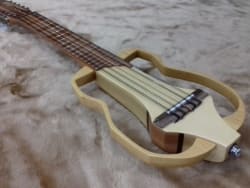 Ronroco Eléctrico / Silent vista 1
