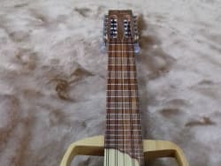 Ronroco Eléctrico / Silent vista 3