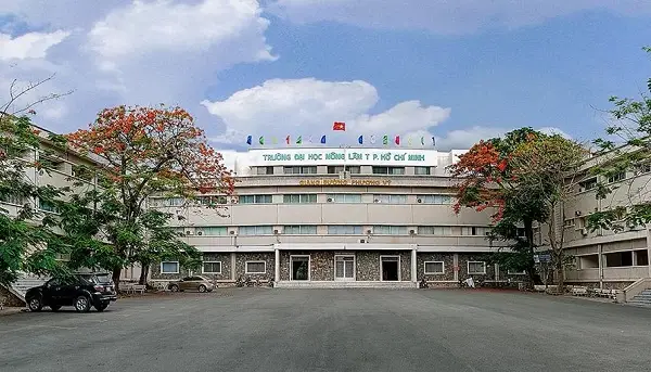 Làm Bằng Đại Học Nông Lâm TPHCM - An Toàn, Bảo Mật, Uy Tín