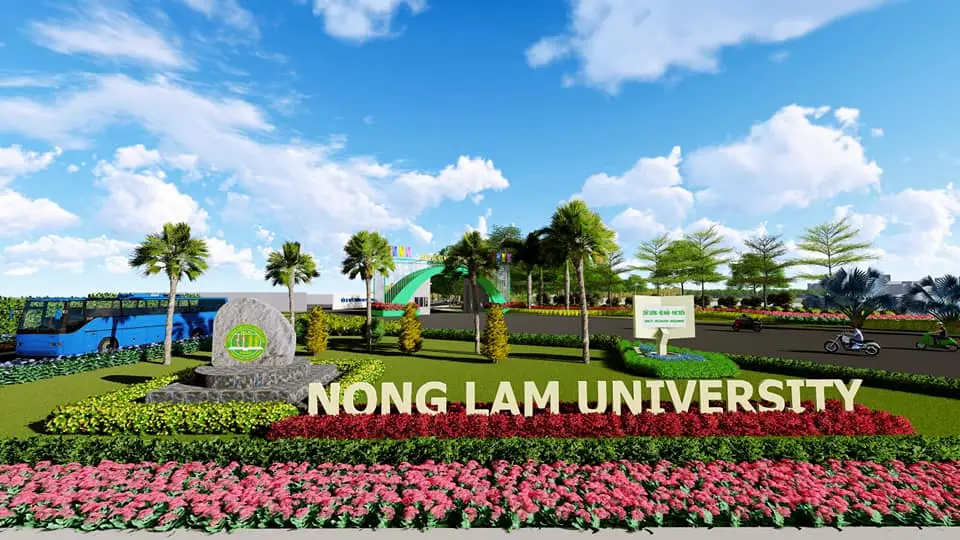 Làm Bằng Đại Học Nông Lâm TPHCM - An Toàn, Bảo Mật, Uy Tín