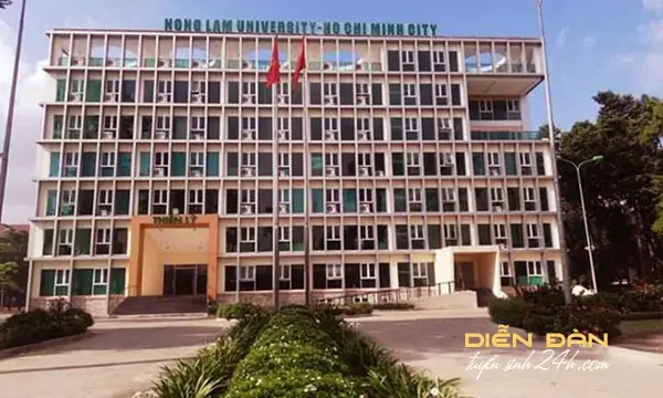 Làm Bằng Đại Học Nông Lâm TPHCM - An Toàn, Bảo Mật, Uy Tín