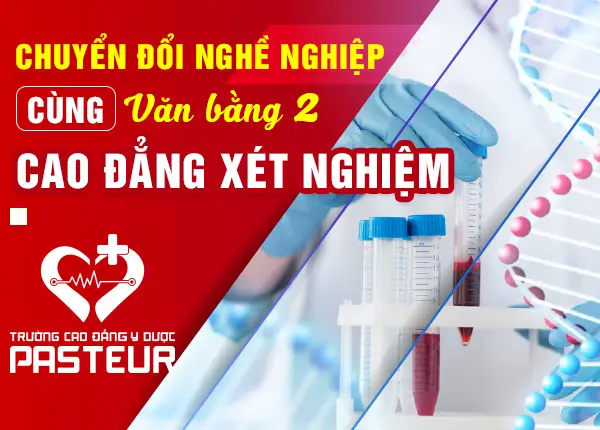 Mẫu bằng Cao đẳng Hướng dẫn chi tiết về hình thức và nội dung