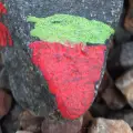Stone by Nikola