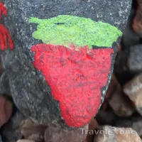 Stone by Nikola