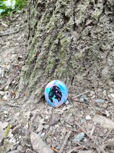 Stone journey moment
