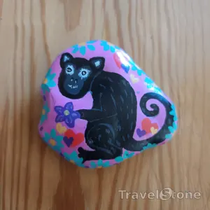 Painted painting stone by artist nad_doodles showing animals. Lemur.