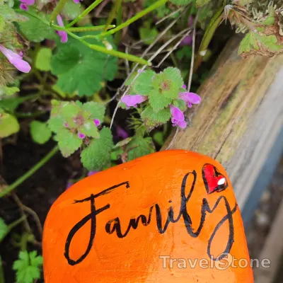 Painted painting stone by artist LaLiLu showing fantasy. Knallig Orange auf Acrybasis.
