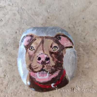 Painted painting stone by artist CJ showing animals. Bisquit an APASA Shelter dog -available for adoption.