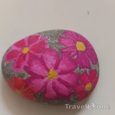 Painted painting stone by artist nad_doodles showing plants. Cosmea.