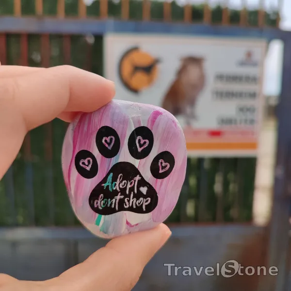 Painted painting stone by artist CJ showing animals. Adopt don't shop. APASA Javea