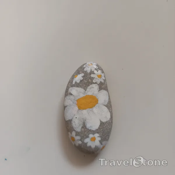 Painted painting stone by artist nad_doodles showing plants. Margeriten