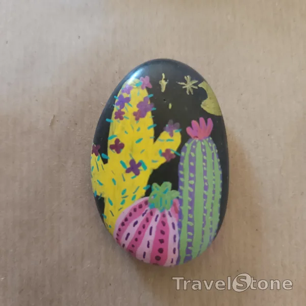 Painted painting stone by artist nad_doodles showing plants. Kakteen
