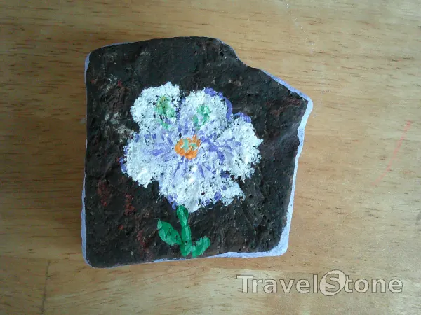 Painted painting stone by artist wimmie123 showing plants. 3155VG S01