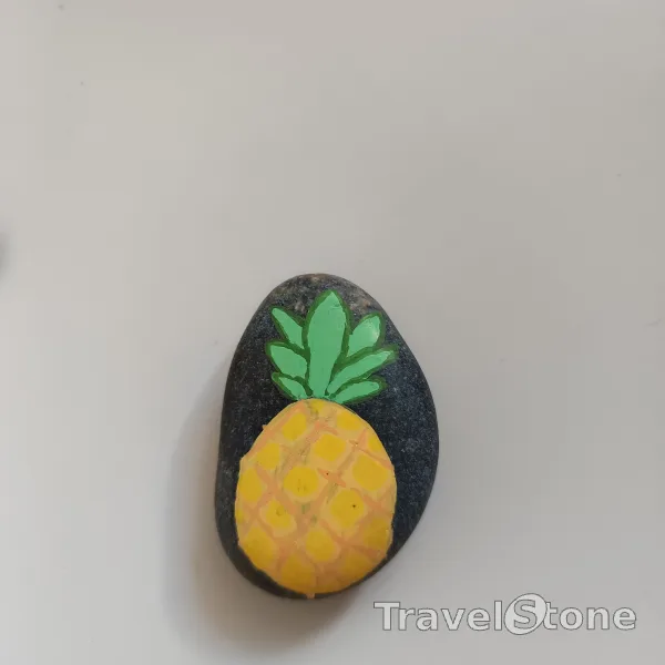 Painted painting stone by artist nad_doodles showing plants. Ananas