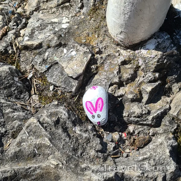 Painted painting stone by artist tritscha showing other. Erster Stein