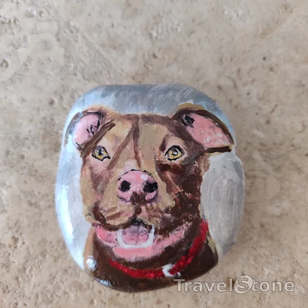 Painted painting stone by artist CJ showing animals. Bisquit an APASA Shelter dog -available for adoption