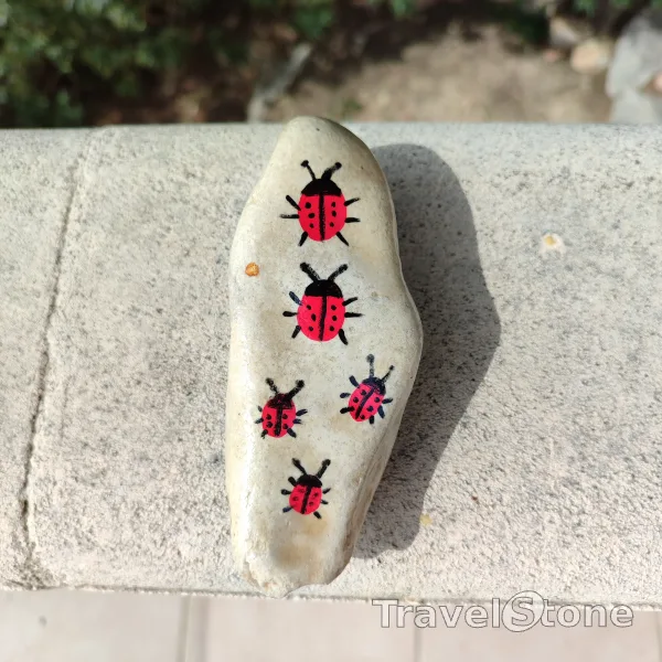 Painted painting stone by artist CJ showing animals. Ladybug parade
