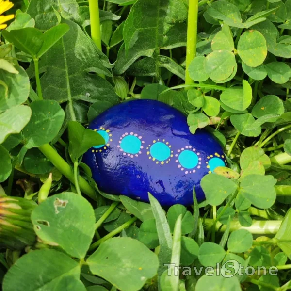 Painted painting stone by artist 007 showing pattern. Seerosen abstrakt :-)