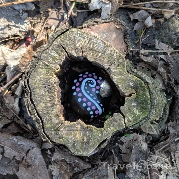 Painted painting stone by artist 007 showing pattern. Just abpattern