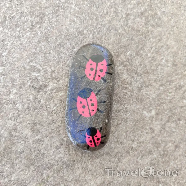 Painted painting stone by artist CJ showing animals. Lady bug travelstone parade
