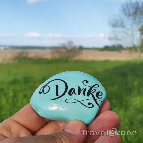 Painted painting stone by artist LaLiLu showing pattern. Danke!