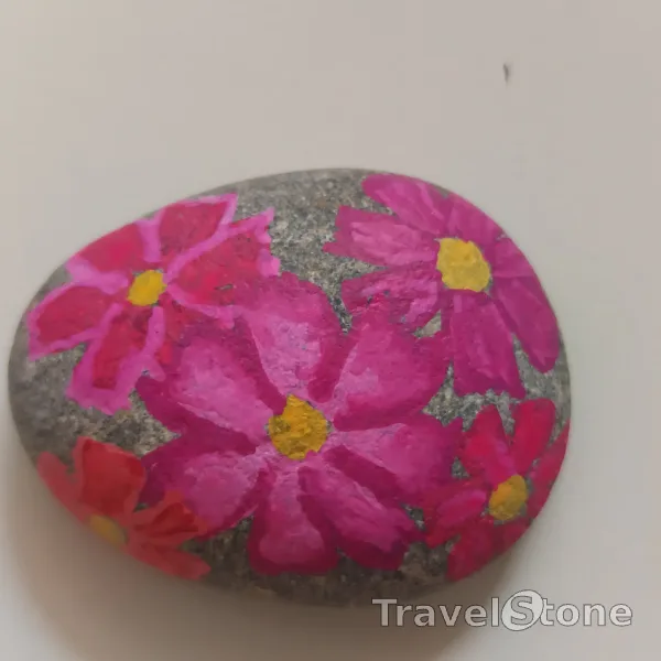 Painted painting stone by artist nad_doodles showing plants. Cosmea