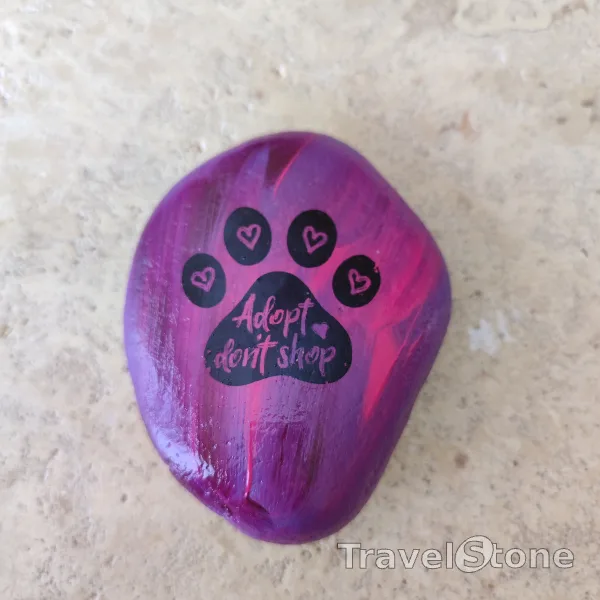 Painted painting stone by artist CJ showing sayings. Adopt don't shop-APASA Shelter