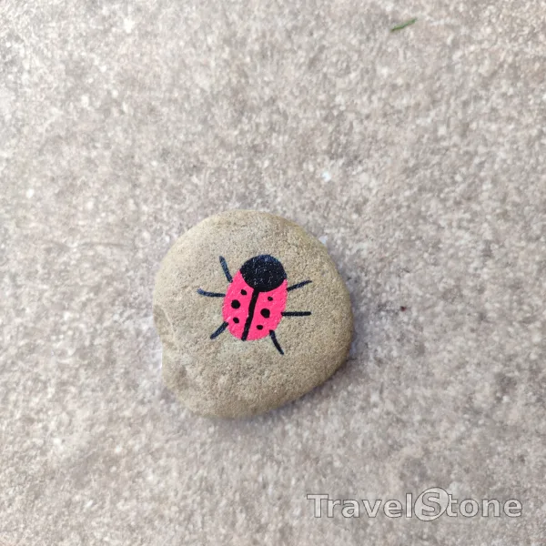 Painted painting stone by artist CJ showing animals. Lady bug Travelstone