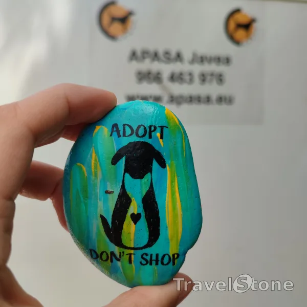 Painted painting stone by artist CJ showing animals. Adopt don't shop. APASA Javea, Spain