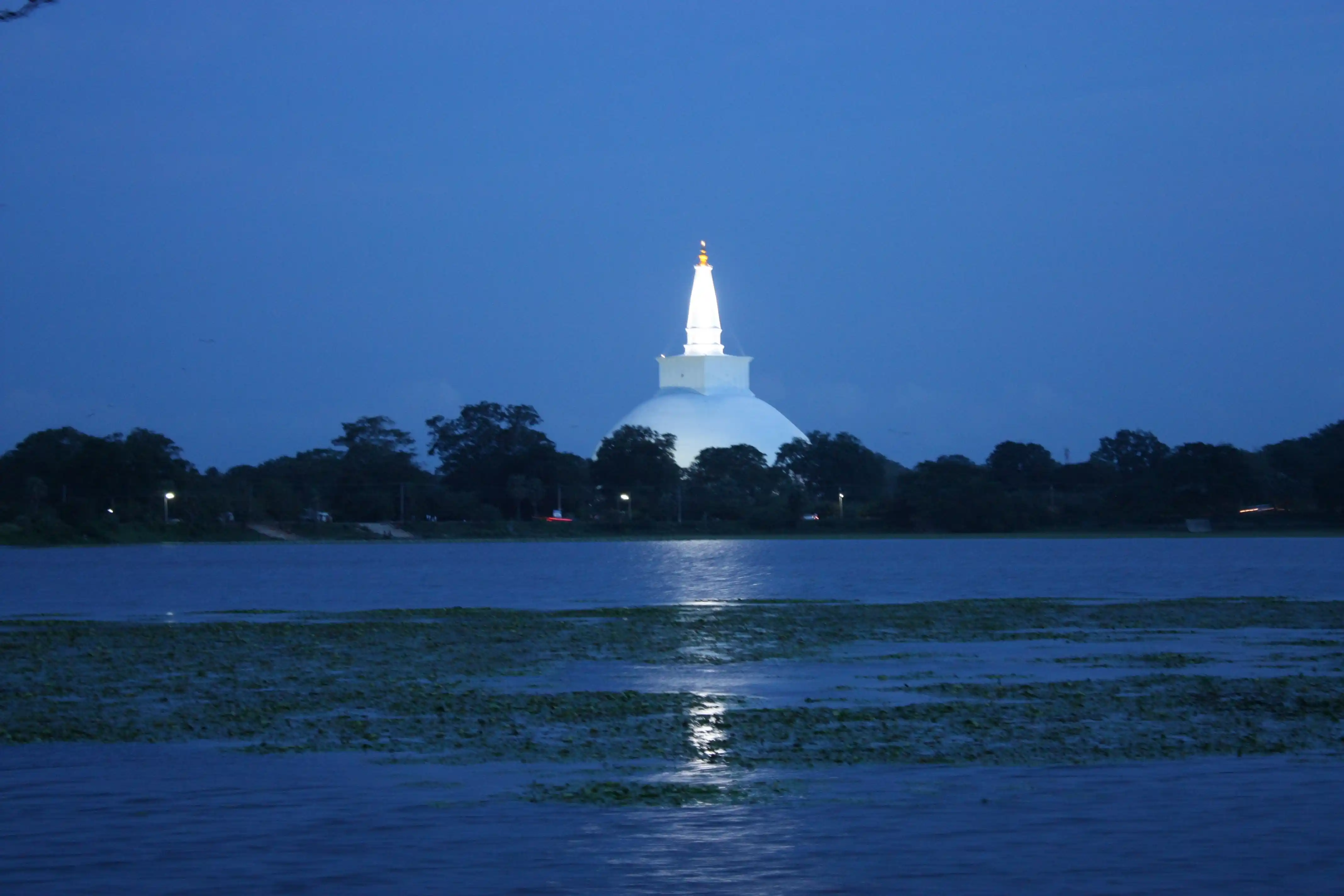 Discover Sri Lanka: Cultural Heritage, Wildlife, Beaches & Hill Country