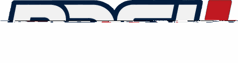Project Delivery Support Limited logo used as the main brand detail on the case study page