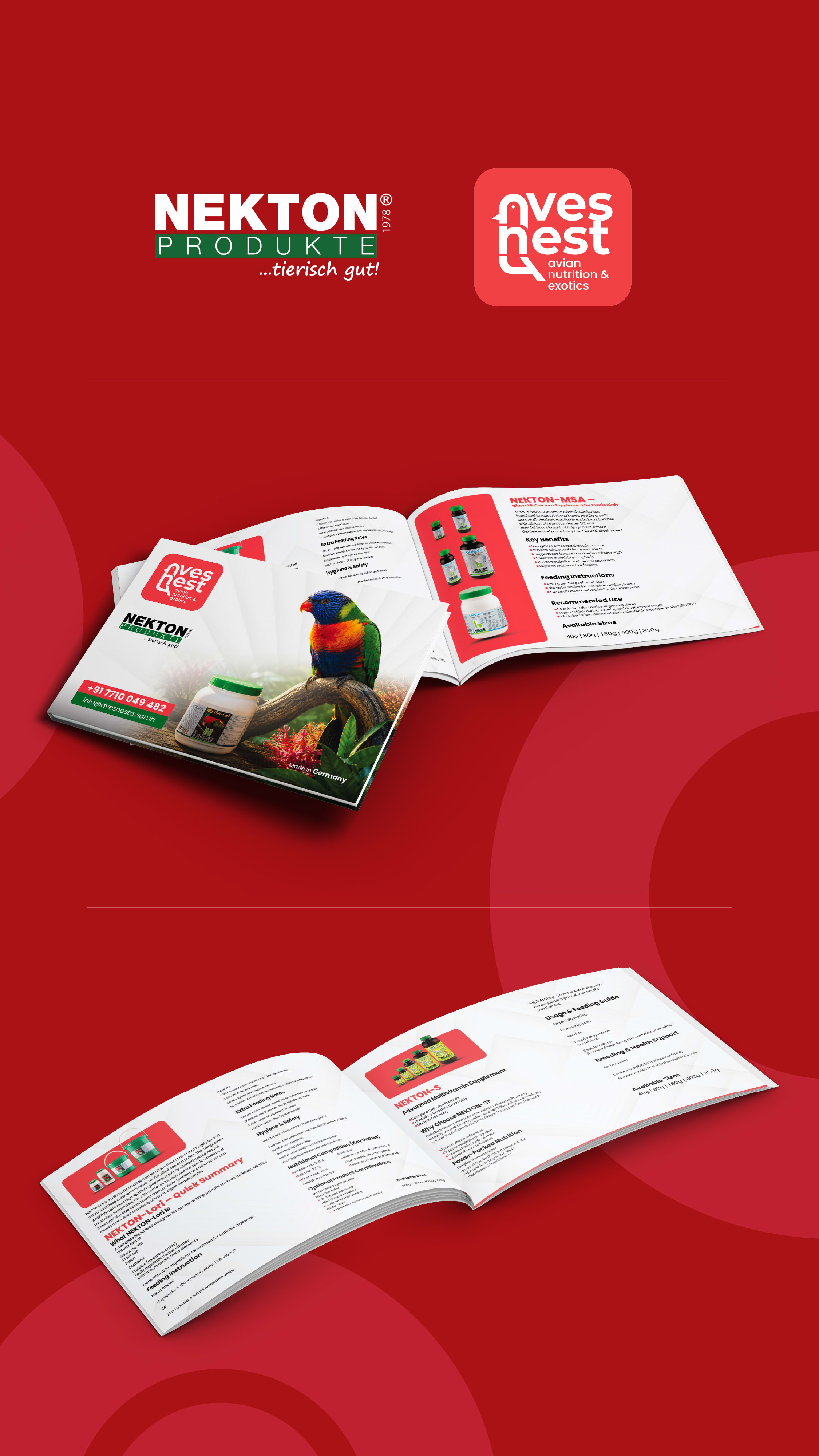 Branding Project