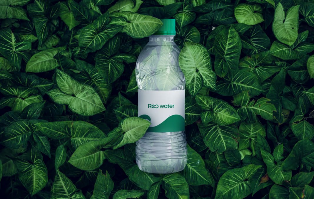 Branding Project