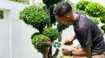 Garden Maintenance