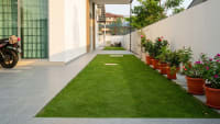 Japanese Grass 2