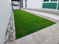 Japanese Grass 5