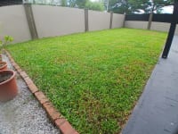 Cowgrass 4
