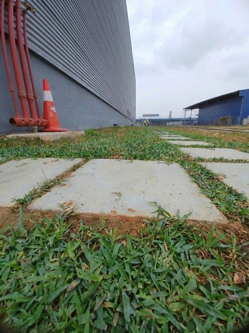 Walk Path Stone Slabs @ ATNS