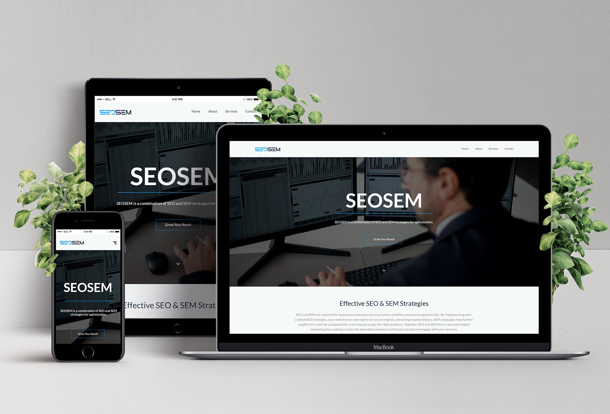 seosem.solversilver.com