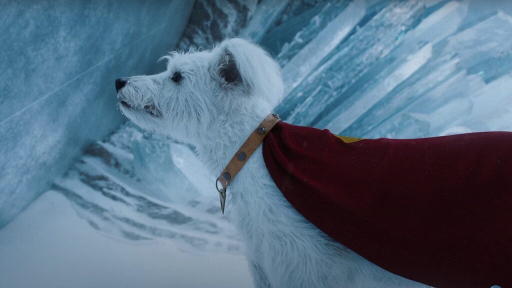 A white dog wearing a small red superhero cape with a yellow emblem stands in a snowy, icy environment, looking to the left. The background features large ice formations and a cold, wintry landscape.