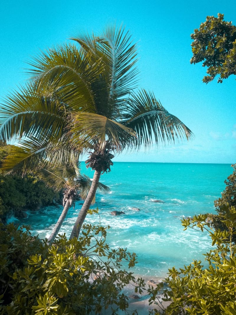 Seychelles travel package by Guru Kripa Travels