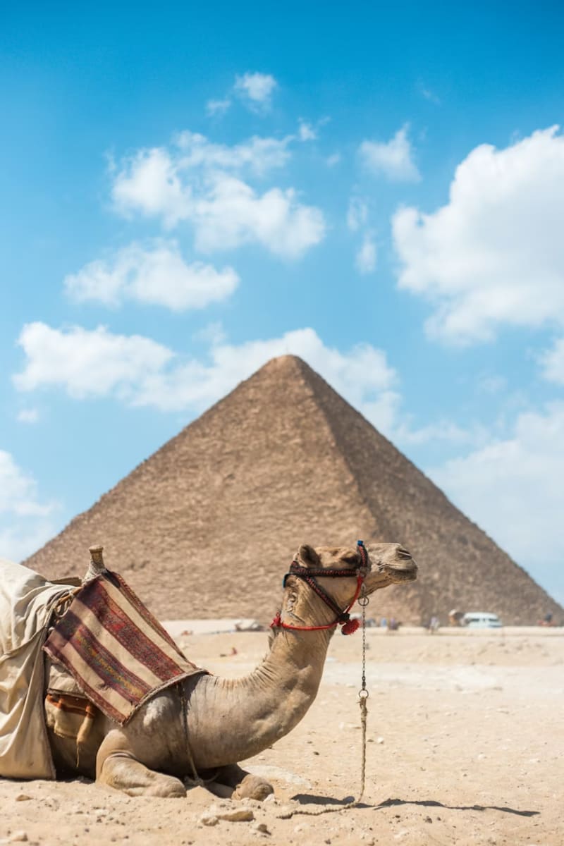 Egypt travel package by Guru Kripa Travels