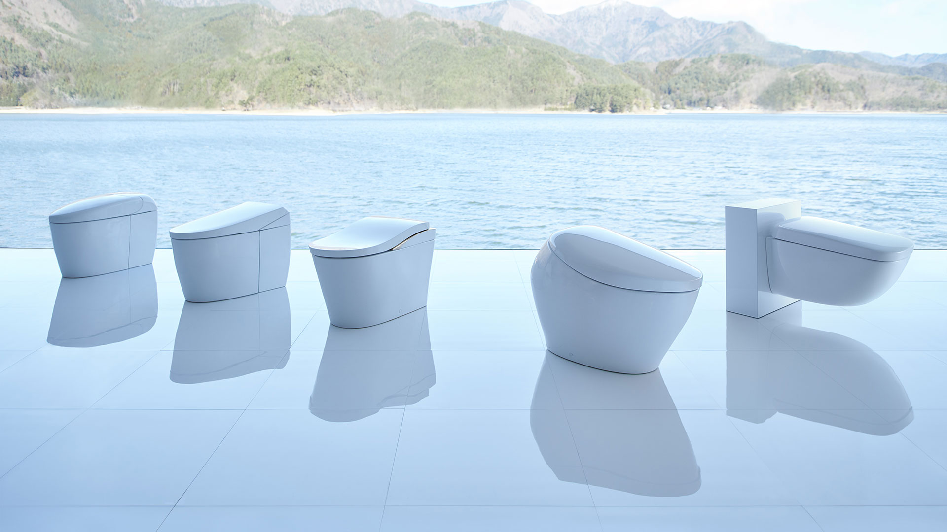 Lutz Plumbing Toilet Repair Services