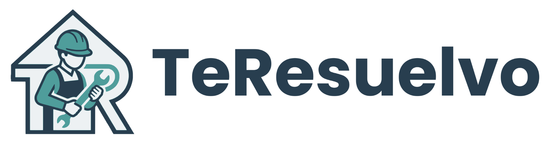 Main sponsor