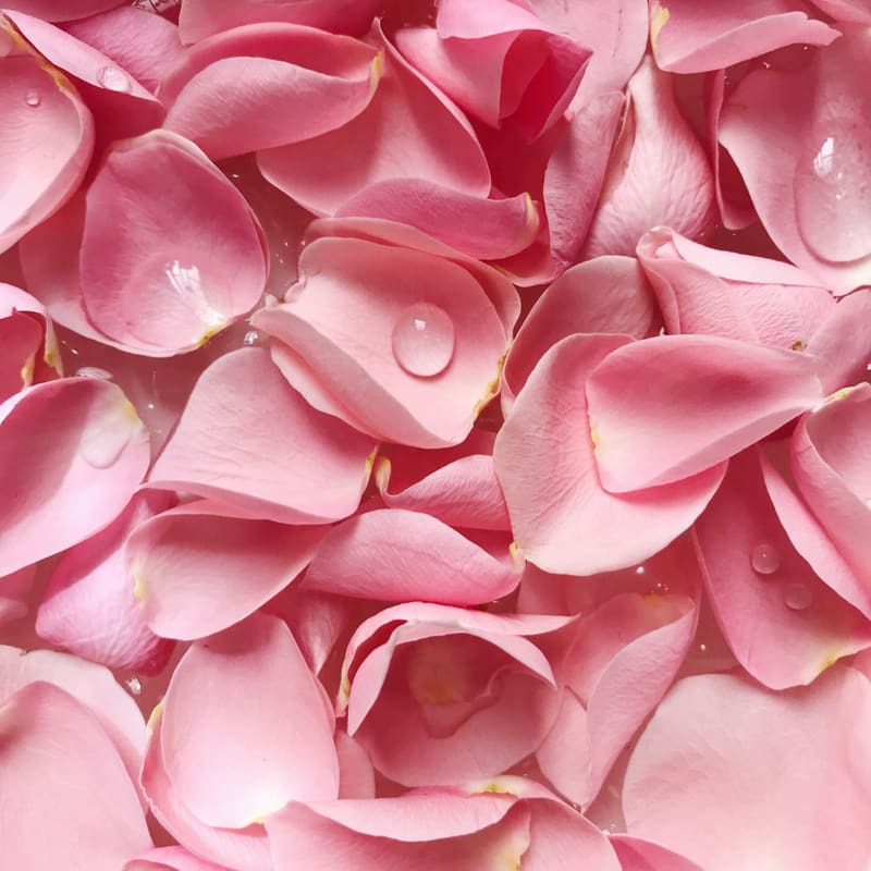 Pink flower petals — Beauty Boost IV therapy