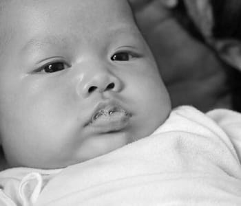 1888_bebe_bave