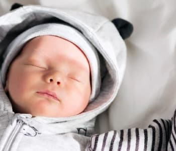 957_Fotolia_102773843_Subscription_Monthly_M