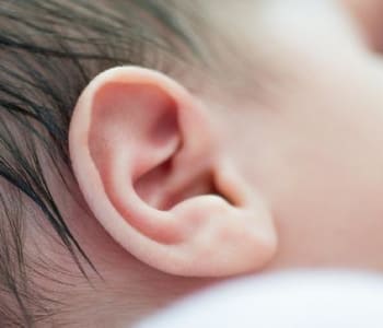 117_Fotolia_89062949_oreilles
