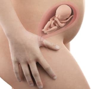 397_grossesse_sem22