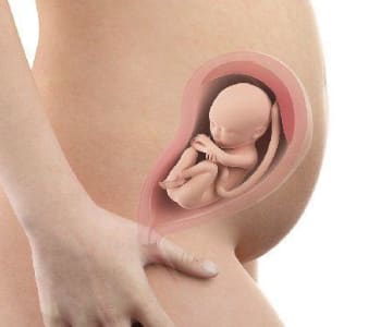 401_bebe-in-utero-semaine-26-28-sa (1)